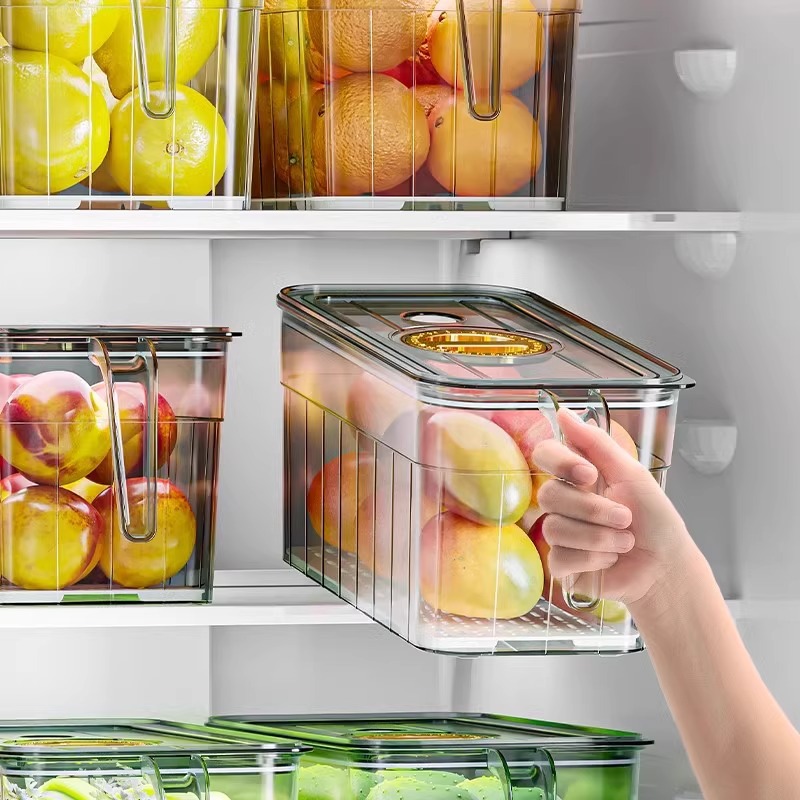 Food Storage Vegetables - Scatola di conservazione per smistamento frigorifero,