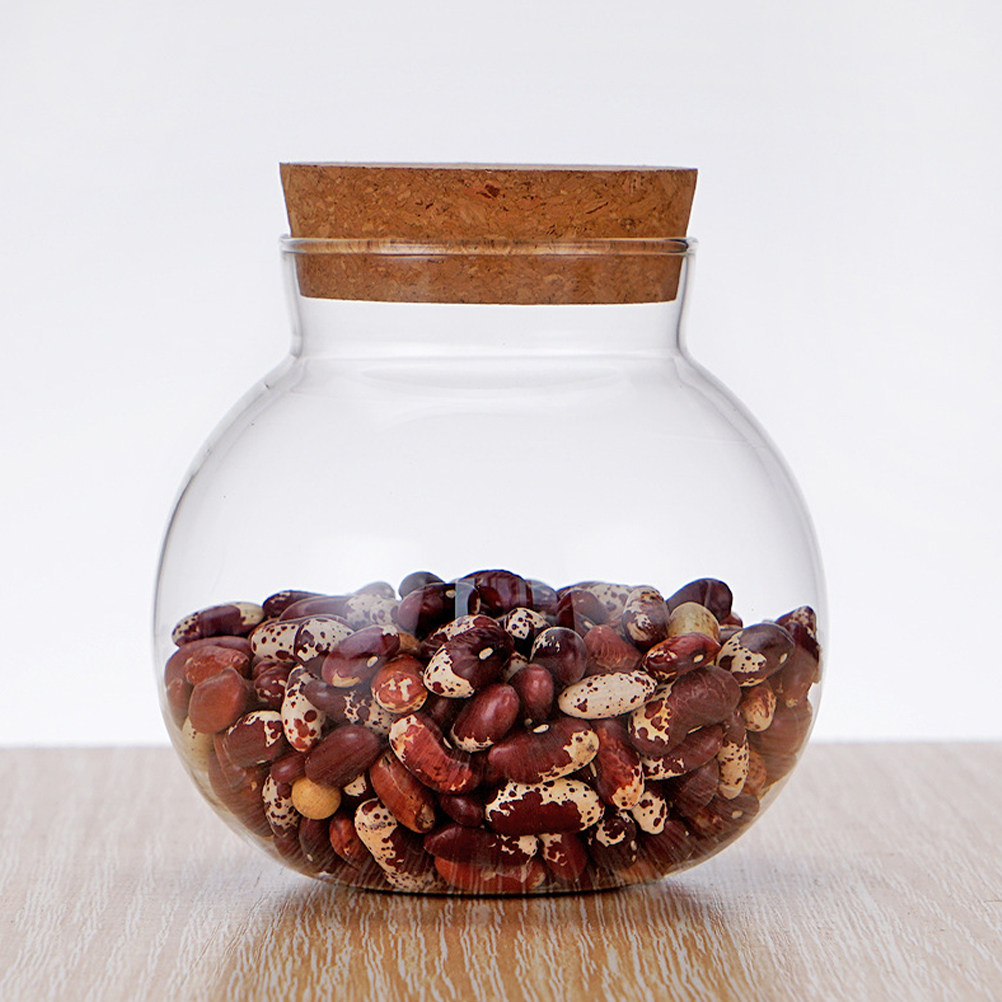 Barattolo di Vetro con Coperch - Food Storage Jars With Wooden Lids recensione e prezzo