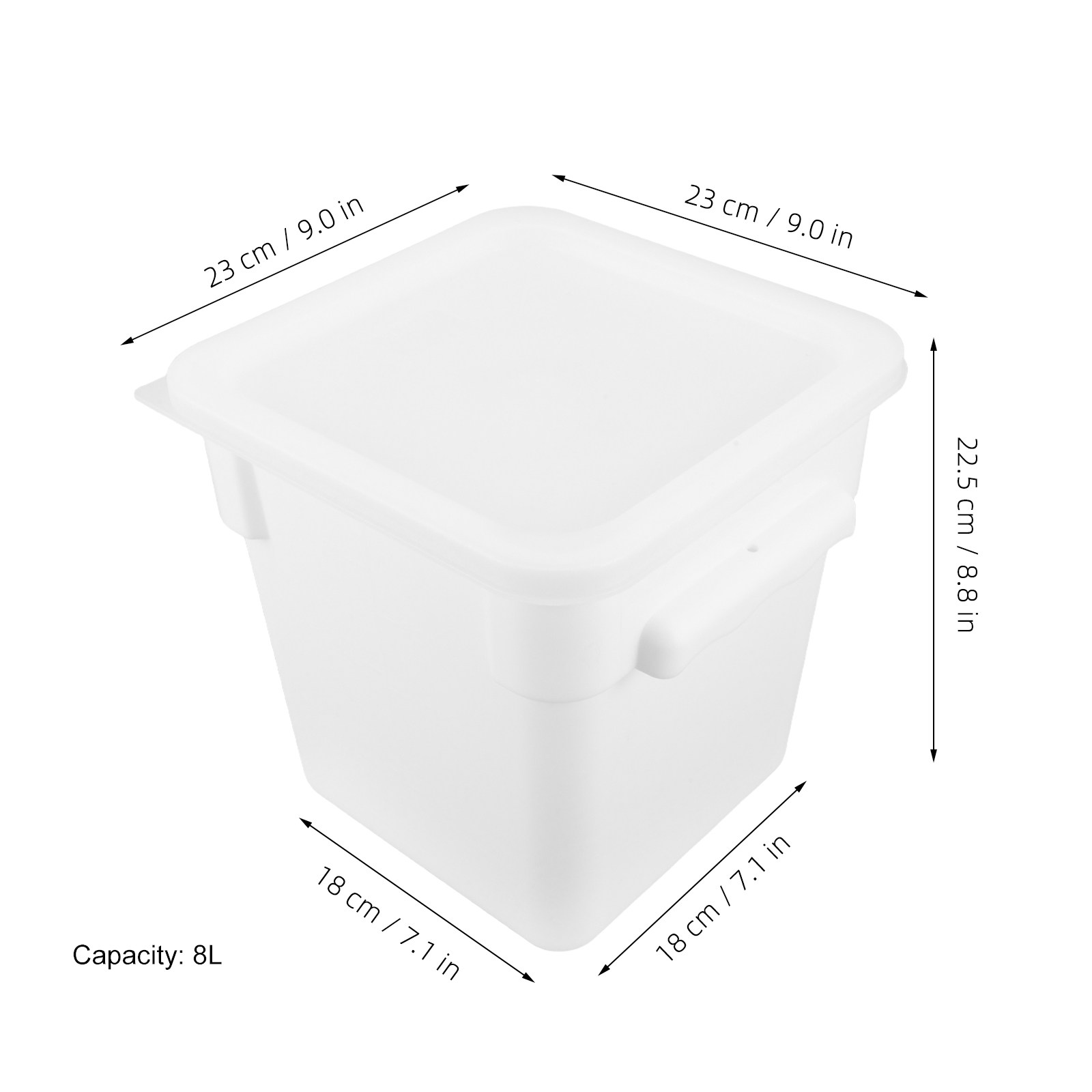 Contenitore Quadrato in Plasti - Food Storage Container recensione e prezzo