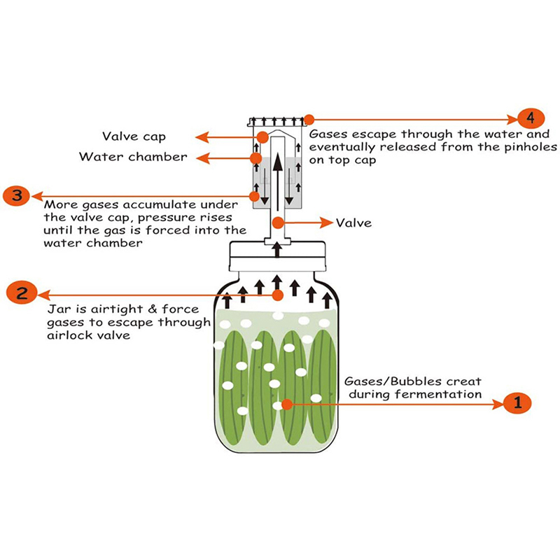 Il coperchio di fermentazione  - Mason Jar Wide Mouth recensione e prezzo