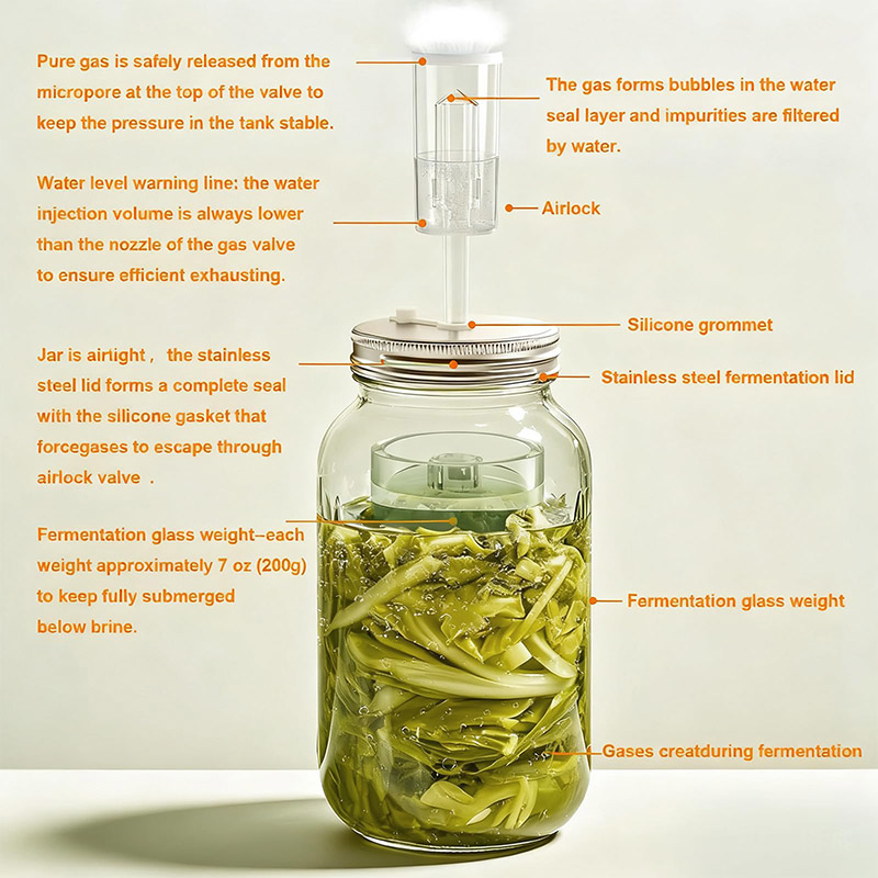 Kit di Fermentazione, Barattol - Mason Jar Wide Mouth recensione e prezzo