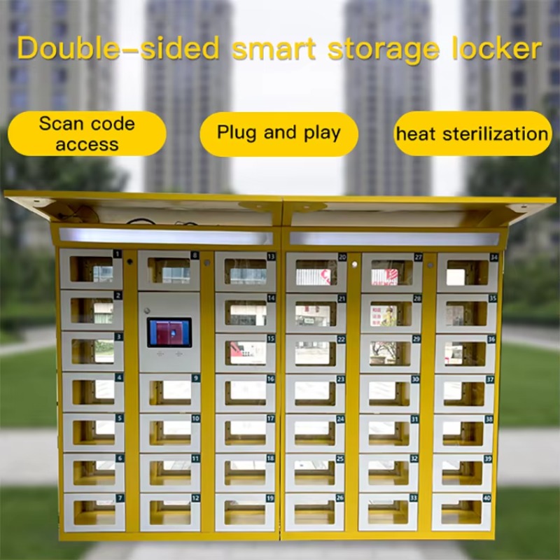 Armadietto Elettronico a Doppi - Food Storage With Lock recensione e prezzo