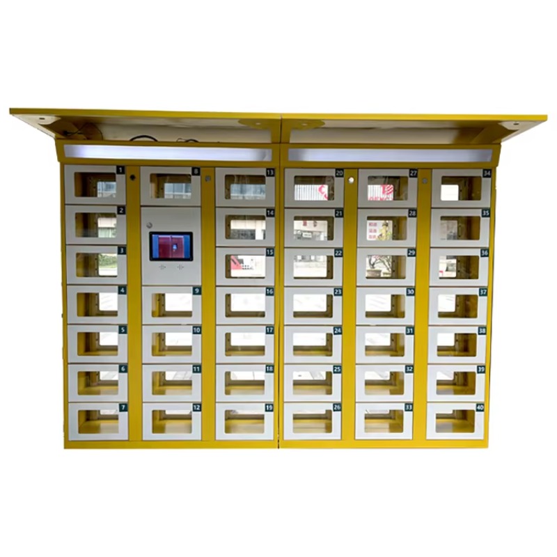 Armadietto Elettronico a Doppi - Food Storage With Lock recensione e prezzo
