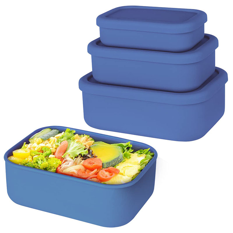 Bento Lunch Box resistente all - Food Storage Prep Containers recensione e prezzo