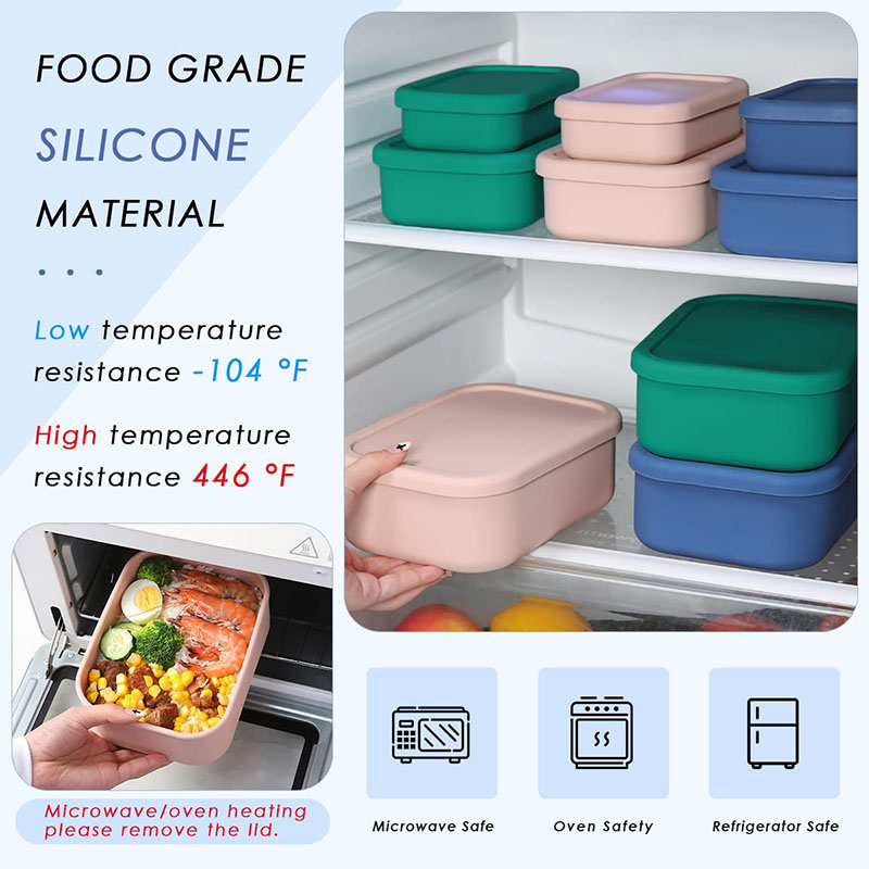 Bento Lunch Box resistente all - Food Storage Prep Containers recensione e prezzo