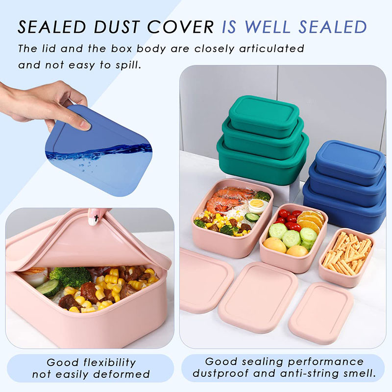 Bento Lunch Box resistente all - Food Storage Prep Containers recensione e prezzo