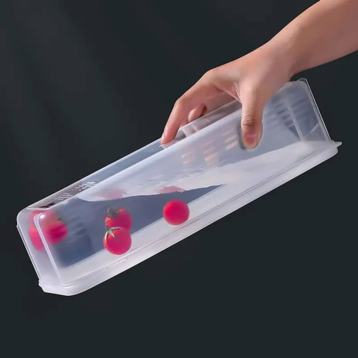 1 scatola portaoggetti in plas - Food Storage Boxes With Lids recensione e prezzo
